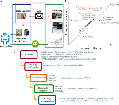 Dried Blood Spot Tests for the Diagnosis and Therapeutic Monitoring of HIV and Viral Hepatitis B and C